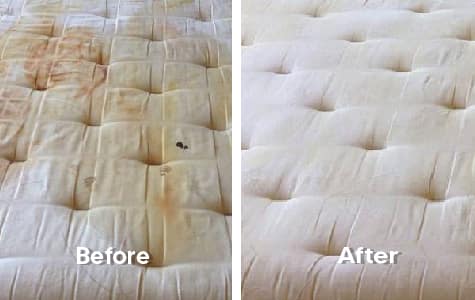 Before Sofa Cleaning